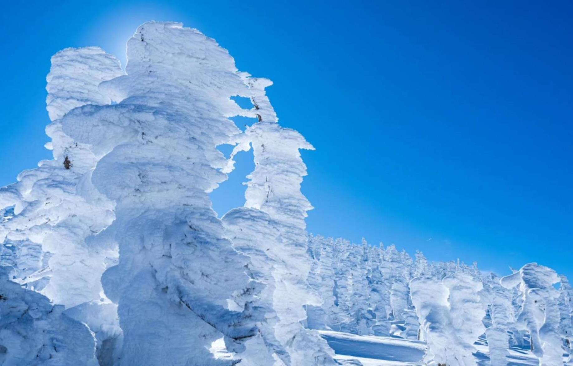 Snowfall Meteor 飛雪流星 Kaminoyama Exteriér fotografie